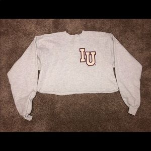 Indiana University IU Cropped Sweatshirt Hanes